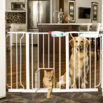 Doggie Gate