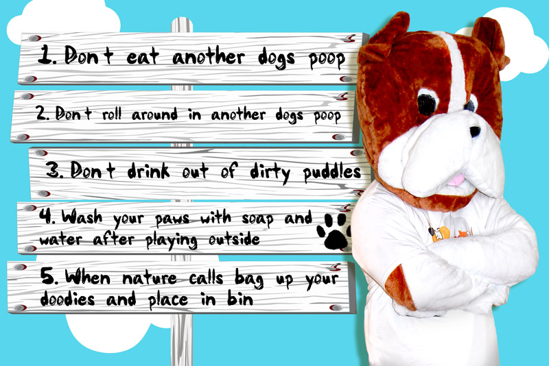 5 rules for dogs