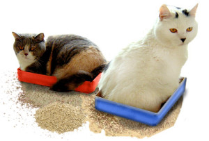 Is your litter box too small?