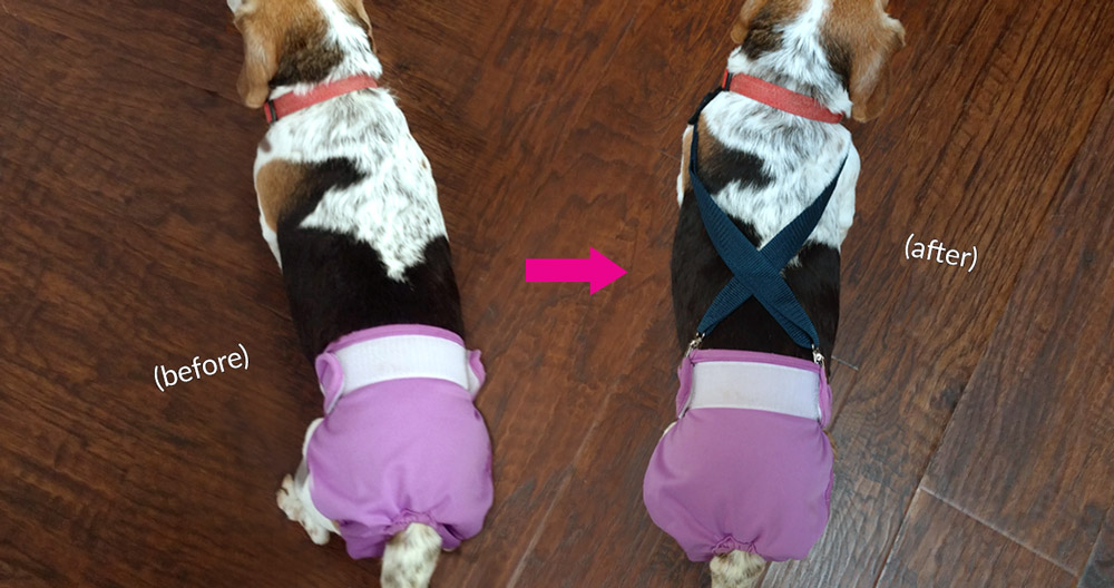 Make Suspenders For Your Dog S Diaper In Less Than 5 Minutes - How To Make Diy Dog Diapers At Home